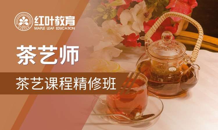 大连茶艺师学习